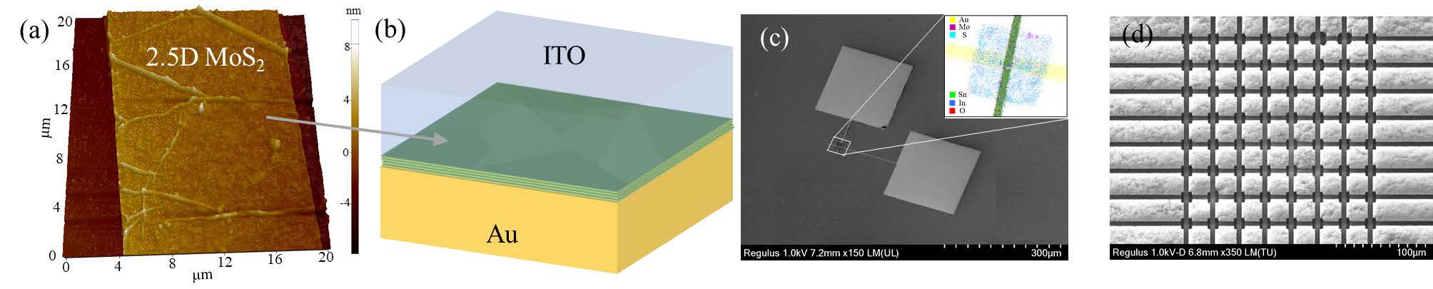 NUS SHINE 2 5D MoS Based Non Volatile Optical Memory For Integrated 