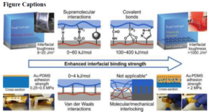 Wearable Materials and Electronics