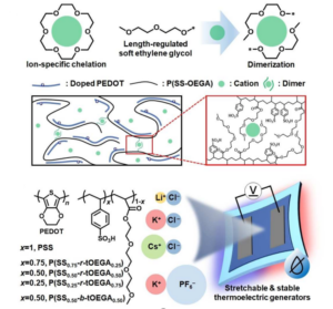 NUS SHINE – Size-Selective Ionic Crosslinking Provides Stretchable ...