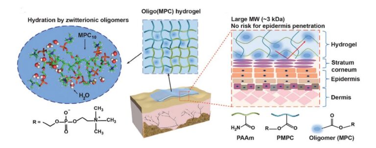 An Antidehydration Hydrogel Based on Zwitterionic Oligomers for Bioelectronic Interfacing