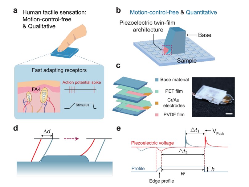 NUS SHINE – Quantitative Tactile Sensing of Surface Microstructures ...