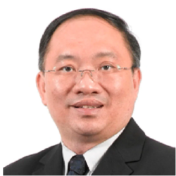 Prof Ng Geok Ing
